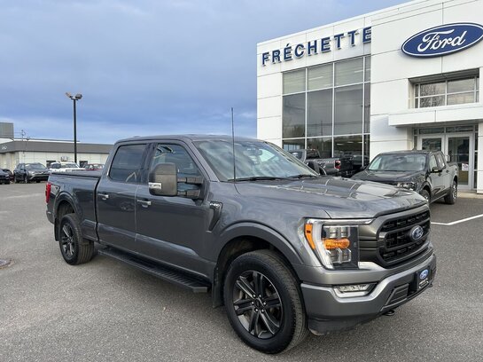 FORD F150 XLT 302A SPORT 2022 2022 Gris