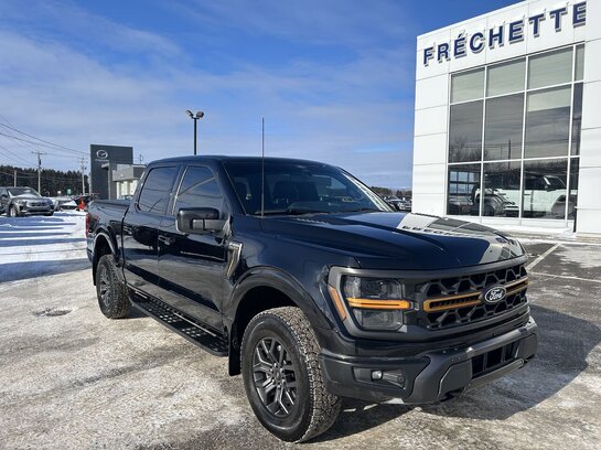 Ford F-150 2024 2024 Noir