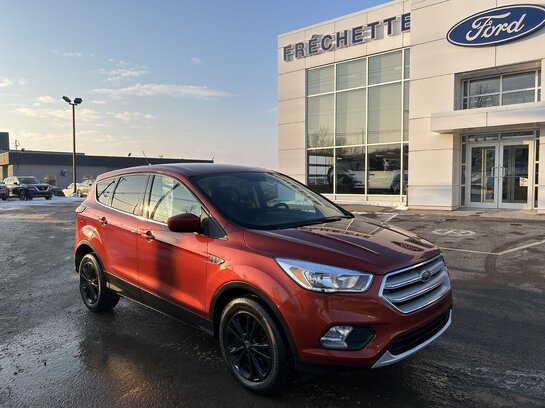 2019 Ford ESCAPE 2019 Red